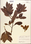 000018149-thumbnail.jpg
