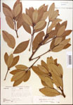 000018151-thumbnail.jpg
