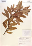 000018153-thumbnail.jpg