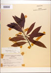 000018157-thumbnail.jpg