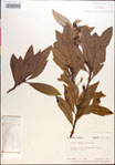 000018160-thumbnail.jpg