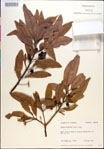 000018165-thumbnail.jpg