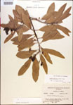 000018166-thumbnail.jpg