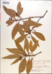 000018170-thumbnail.jpg