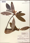 000018174-thumbnail.jpg