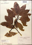 000018175-thumbnail.jpg