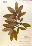 000018179-thumbnail.jpg
