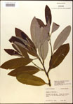 000018183-thumbnail.jpg
