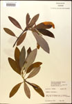 000018185-thumbnail.jpg