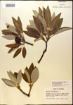 000018187-thumbnail.jpg