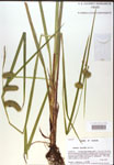 000018189-thumbnail.jpg