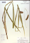 000018190-thumbnail.jpg