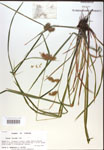 000018191-thumbnail.jpg