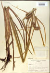000018192-thumbnail.jpg