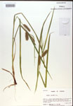 000018193-thumbnail.jpg