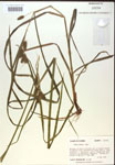 000018194-thumbnail.jpg