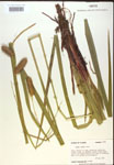 000018195-thumbnail.jpg