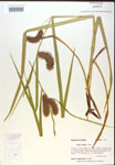 000018196-thumbnail.jpg