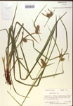 000018197-thumbnail.jpg