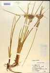 000018198-thumbnail.jpg