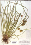 000018201-thumbnail.jpg