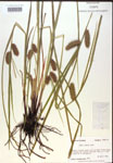 000018202-thumbnail.jpg