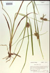 000018204-thumbnail.jpg