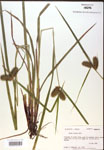 000018205-thumbnail.jpg