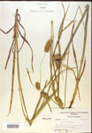 000018206-thumbnail.jpg