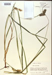 000018208-thumbnail.jpg