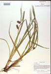 000018209-thumbnail.jpg