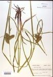 000018210-thumbnail.jpg