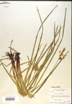 000018211-thumbnail.jpg