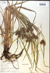 000018212-thumbnail.jpg