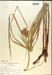 000018214-thumbnail.jpg