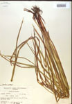 000018215-thumbnail.jpg