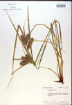 000018216-thumbnail.jpg