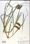000018217-thumbnail.jpg