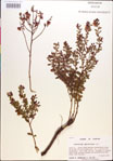 000018269-thumbnail.jpg