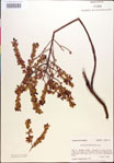 000018271-thumbnail.jpg