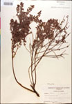 000018273-thumbnail.jpg