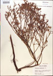 000018279-thumbnail.jpg