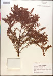 000018282-thumbnail.jpg