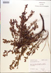 000018283-thumbnail.jpg