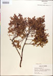 000018284-thumbnail.jpg