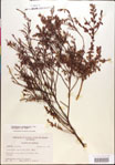 000018289-thumbnail.jpg