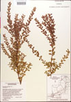 000018290-thumbnail.jpg