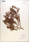 000018292-thumbnail.jpg