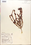 000018293-thumbnail.jpg