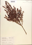 000018296-thumbnail.jpg